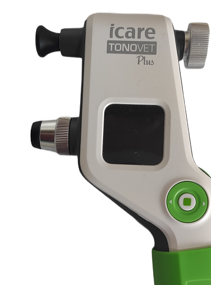 okulistyka zwierząt