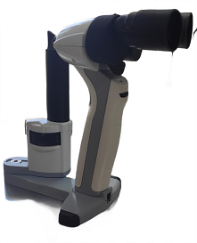 okulistyka zwierząt